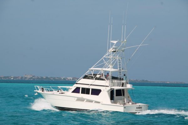 HATTERAS 60 - 30 pax 2 engines. - Image 3