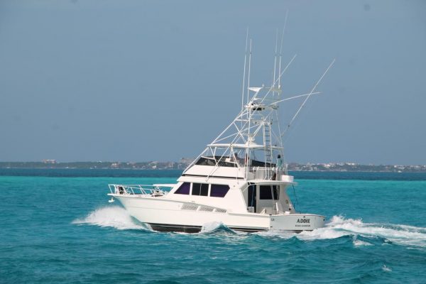 HATTERAS 60 - 30 pax 2 engines. - Image 9